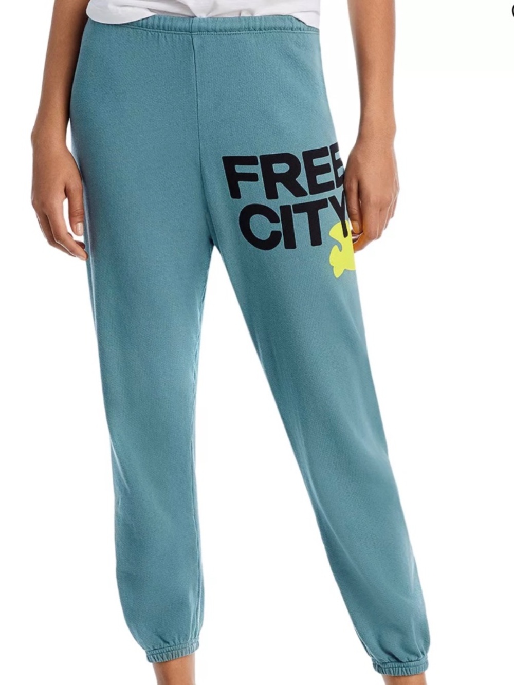 Free City Logo Sweatpants in Quidsink XS NWOT